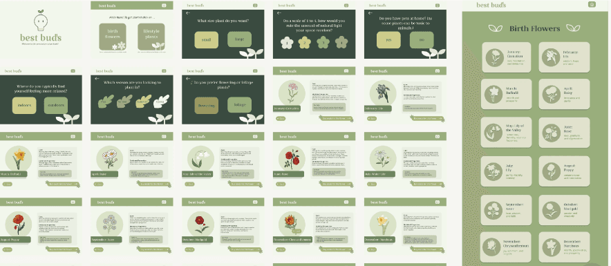 Wireframes